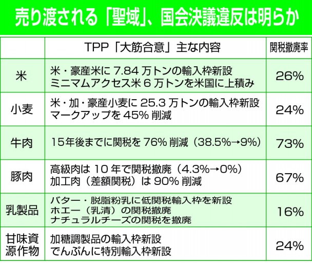 TPP「大筋合意」主な内容