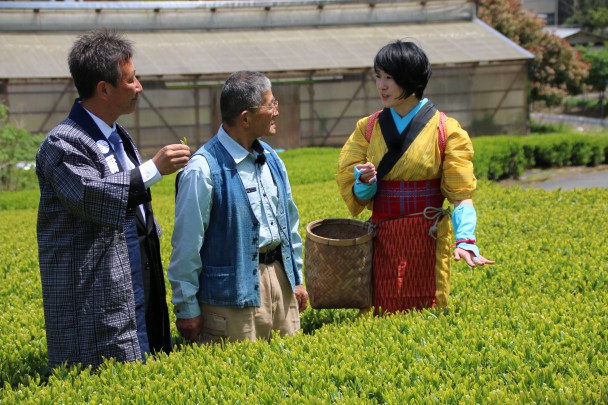 茶畑での撮影の様子